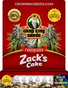 Zacks Cake Feminized