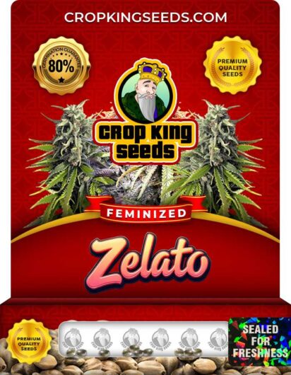 Zelato Feminized