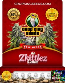 Zkittlez Cake Feminized