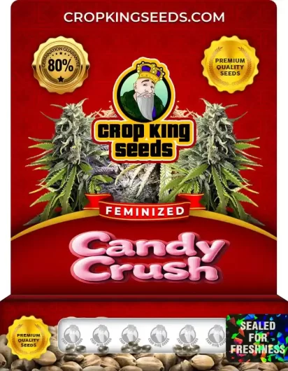 Candy Crush Strain
