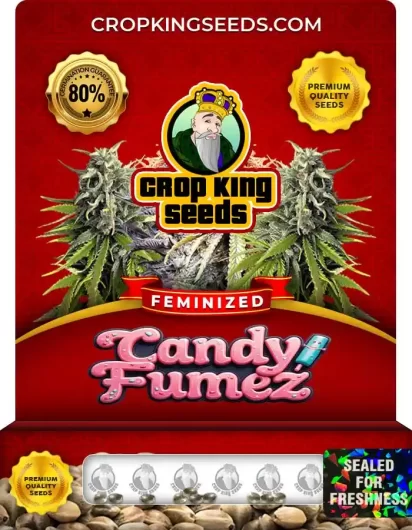 Candy Fumez Strain