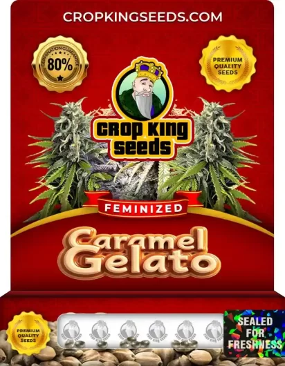 Caramel Gelato Strain