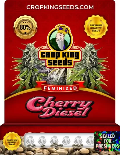 Cherry Diesel Strain