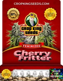 Cherry Fritter Strain