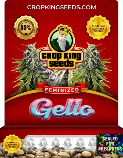 Gello Strain