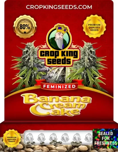 Banana Cream Cake Strain