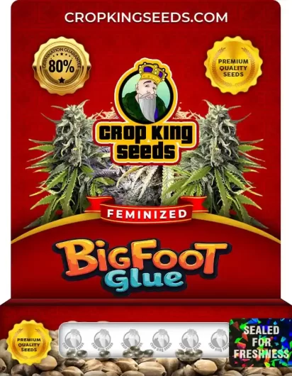 Bigfoot Glue Strain