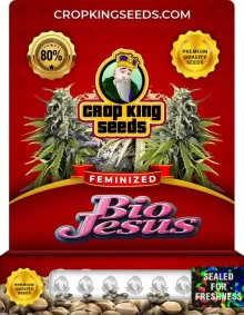 Bio Jesus Strain