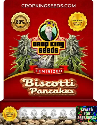 Biscotti Pancakes Strain