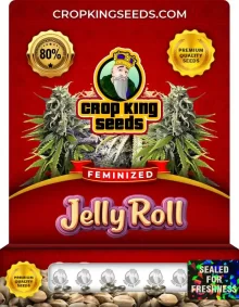 Jelly Roll Strain