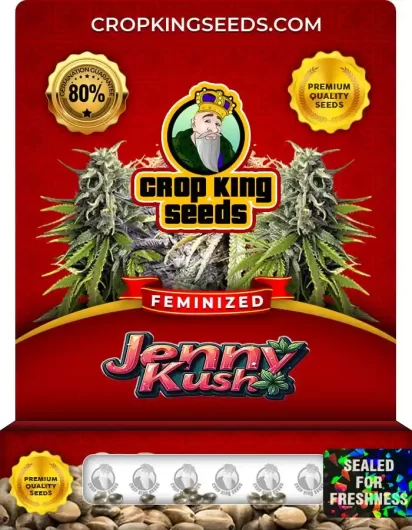 Jenny Kush Strain