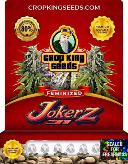 Jokerz 31 Strain