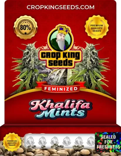 Khalifa Mints Strain