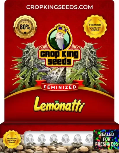 Lemonatti Strain