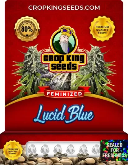 Lucid Blue Strain