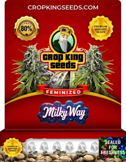 Milky Way Strain