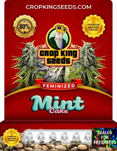Mint Cake Strain