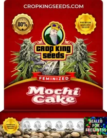 Mochi Cake Strain