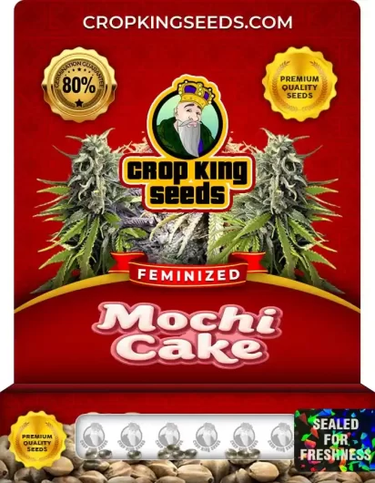 Mochi Cake Strain