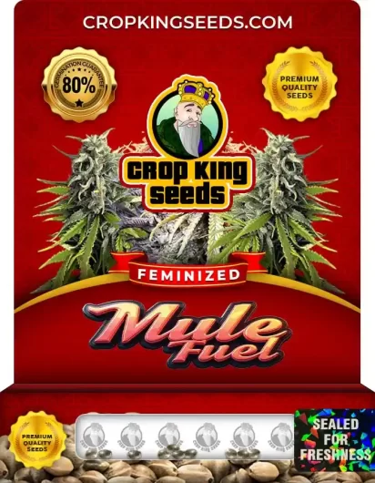 Mule Fuel Strain