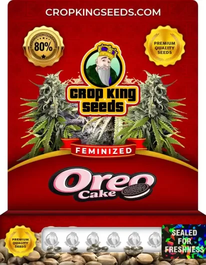 Oreo Cake Strain
