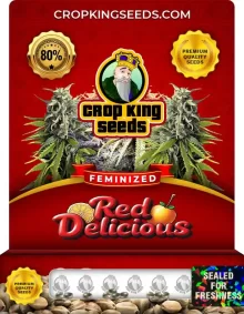 Red Delicious Strain