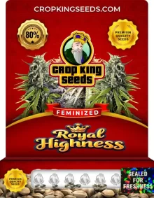 Royal Highness Strain