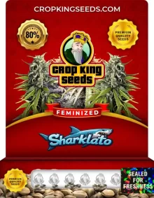 Sharklato Strain
