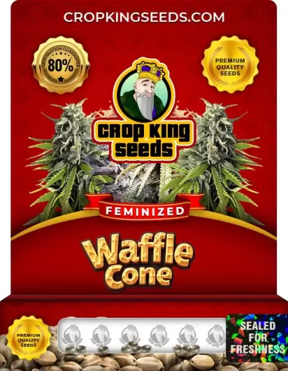 Waffle Cone Strain