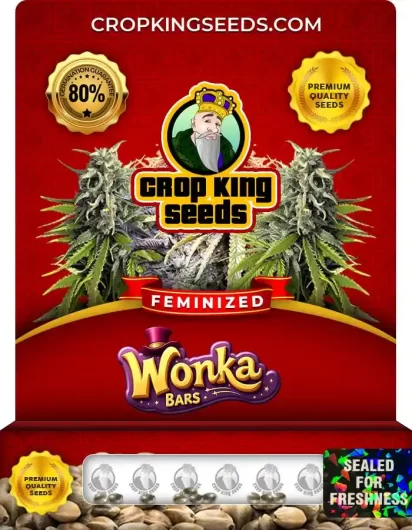 Wonka Bars Strain