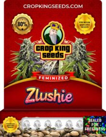Zlushie Strain