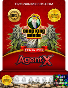 Agent X Strain