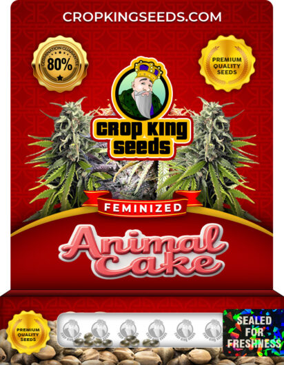 Animal Cake Strain Feminized