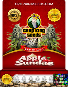 Apple Sundae Strain Feminized