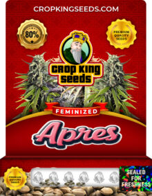 Apres Strain