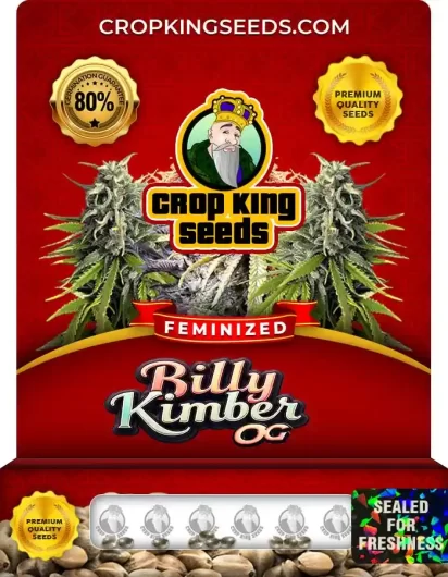 Billy Kimber OG Feminized