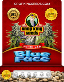 Blue Face Strain