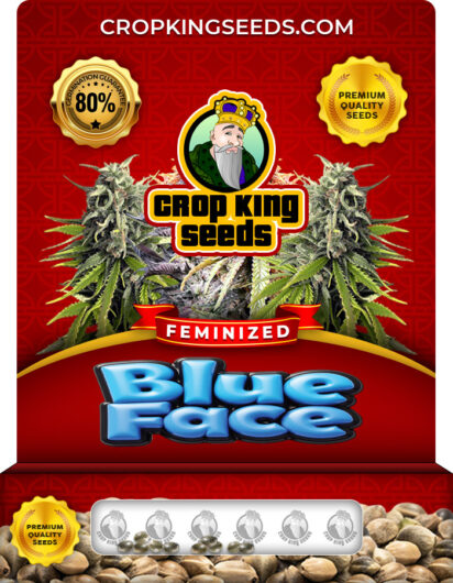 Blue Face Strain