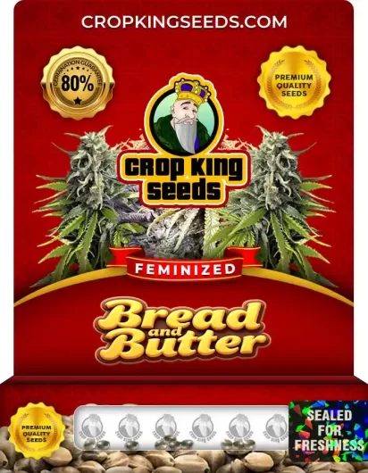 Bread and Butter Feminized