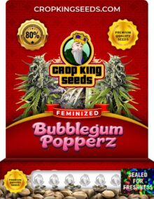 Bubblegum Popperz Strain