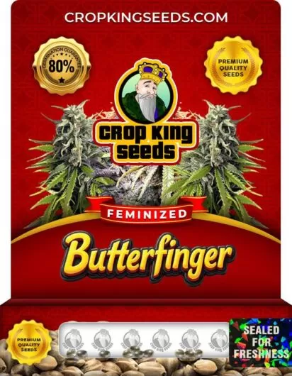 Butterfinger Strain