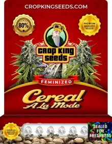 Cereal A La Mode Strain