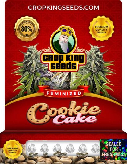 Cookie Cake Strain Feminized
