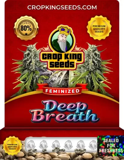 Deep Breath Strain Feminized