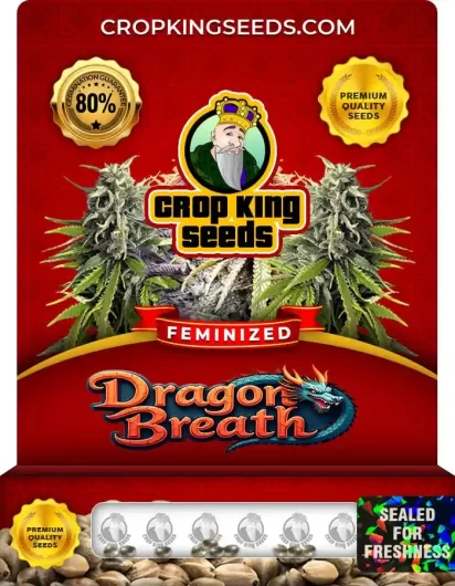 Dragon Breath Feminized
