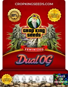 Dual OG Feminized