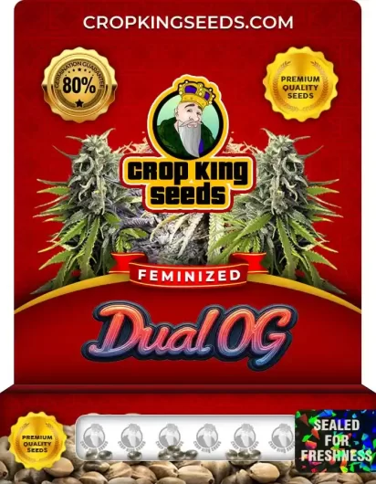 Dual OG Feminized