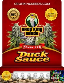 Duck Sauce Feminized
