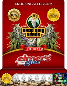 Elmer's Glue Feminized