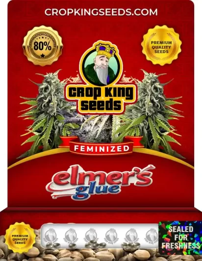 Elmer's Glue Feminized